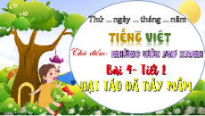 Giáo án Powerpoint Tuần 15 Bài 4: Cây táo đã nảy mầm Tiếng việt lớp 4 Chân trời sáng tạo