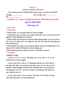 Giáo án Bài 28 Khoa học tự nhiên 9 Cánh Diều (2024): Protein