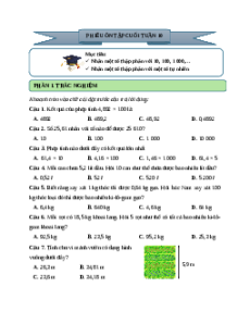 Bài tập cuối tuần Toán lớp 5 Cánh diều Tuần 10