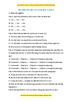 Đề thi cuối kì 1 Sinh học 11 Kết nối tri thức - Đề 3