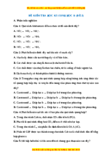 Đề thi cuối kì 1 Sinh học 11 Kết nối tri thức - Đề 3