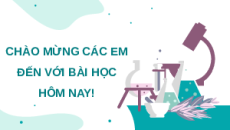 Giáo án Powerpoint Dinh dưỡng và tiêu hóa ở động vật Sinh học 11 Kết nối tri thức