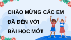 Giáo án Powerpoint Viết: Quan sát, tìm ý cho bài văn miêu tả cây cối (trang 15, 16) Tiếng việt lớp 4 Chân trời sáng tạo (Phiên bản 2)