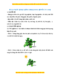 Lý thuyết Khoa học tự nhiên 7 Chân trời sáng tạo Bài 24: Thực hành chứng minh quang hợp ở cây xanh