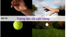 Giáo án powerpoint Trọng lực và lực căng Vật lí 10 Kết nối tri thức