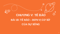 Giáo án Powerpoint Bài 18: Tế bào – Đơn vị cơ bản của sự sống KHTN 6 Kết nối tri thức