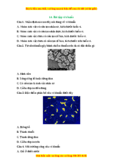 Trắc nghiệm Vi khuẩn KHTN 6 Chân trời sáng tạo