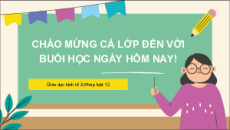 Bài giảng Powerpoint Giáo dục kinh tế pháp luật 12 Cánh diều