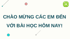 Giáo án Powerpoint Bài 18: Di truyền quần thể Sinh học 12 Kết nối tri thức