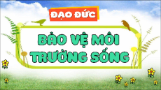 Giáo án Powerpoint Bài 8: Em bảo vệ môi trường Đạo đức lớp 5 Chân trời sáng tạo