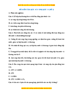 Đề thi cuối kì 1 Sinh học 11 Kết nối tri thức - Đề 2