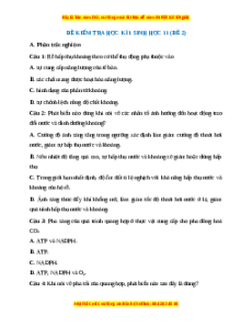 Đề thi cuối kì 1 Sinh học 11 Kết nối tri thức - Đề 2