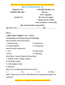 Đề thi cuối kì 1 Công nghệ lớp 4 Chân trời sáng tạo (Đề 3)