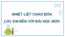Giáo án Powerpoint chuyên đề Bài 4: Dự án Sưu tầm điều tra ứng dụng kiểm soát sinh học Sinh học 12 Kết nối tri thức
