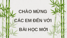 Giáo án Powerpoint Đọc: Về lại Gò Công (trang 68, 69) Tiếng việt lớp 4 Chân trời sáng tạo (Phiên bản 2)