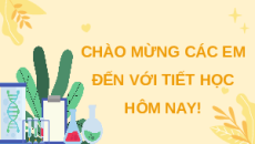 Giáo án Powerpoint Chu kì tế bào và nguyên phân Sinh học 10 Cánh diều