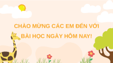 Giáo án Powerpoint Thực hành: Quan sát biến thái ở động vật Sinh học 11 Kết nối tri thức