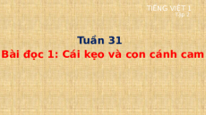 Giáo án Powerpoint Tập đọc: Cái kẹo và con cánh cam Tiếng việt lớp 1 Cánh diều