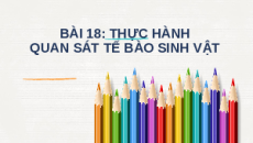 Giáo án Powerpoint Bài 18: Thực hành quan sát tế bào sinh vật KHTN 6 Chân trời sáng tạo