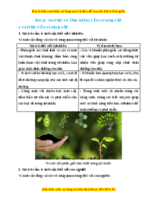 Lý thuyết Sinh học 10 Kết nối tri thức Bài 22: Vai trò và ứng dụng của vi sinh vật
