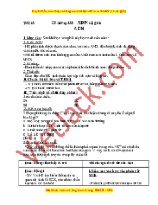 Giáo án ADN Sinh học 9