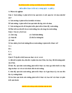 Đề thi cuối kì 2 Sinh học 11 Kết nối tri thức (Đề 2)