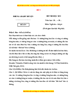 Đề thi cuối kì 1 Ngữ văn 6 Cánh diều (đề 9)