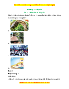 Trắc nghiệm Công nghệ 7 Bài 14 Kết nối tri thức: Giới thiệu về thủy sản