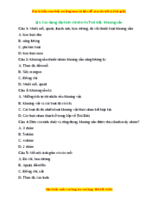 Trắc nghiệm Bài 13 Địa lí 6 Kết nối tri thức: Các dạng địa hình chính trên Trái Đất. Khoáng sản