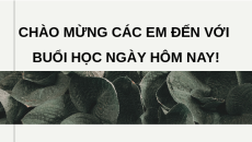 Giáo án Powerpoint Bài 9 KTPL 10 Cánh diều: Dịch vụ tín dụng