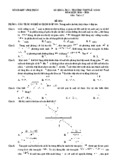 Đề thi HSG Toán 12 Trường THPT Lê Xoay - Vĩnh Phúc 2024 - 2025