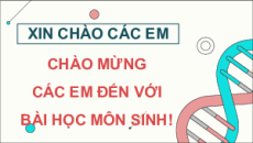 Bài giảng Powerpoint Sinh học - KHTN 9 Kết nối tri thức