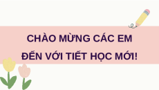 Giáo án Powerpoint Viết: Trả bài văn miêu tả cây cối (trang 67) Tiếng việt lớp 4 Chân trời sáng tạo (Phiên bản 2)