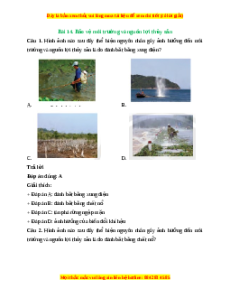 Trắc nghiệm Công nghệ 7 Bài 14 Chân trời sáng tạo: Bảo vệ môi trường và nguồn lợi thuỷ sản