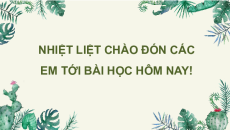 Giáo án Powerpoint Bài 18 Sinh học 11 Chân trời sáng tạo: Tập tính ở động vật