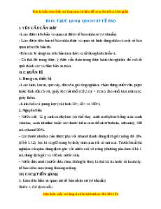 Lý thuyết Sinh học 10 Kết nối tri thức Bài 9: Thực hành quan sát tế bào