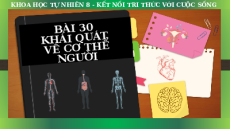 Giáo án Powerpoint Khái quát về cơ thể người Sinh học - KHTN 8 Kết nối tri thức