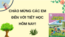 Giáo án Powerpoint Tuần 19 HĐTN lớp 4 Cánh diều