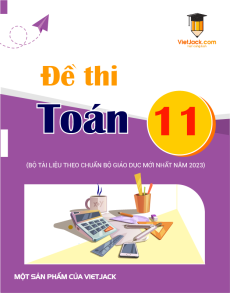 100 Đề thi Toán 11 có lời giải (sách mới)