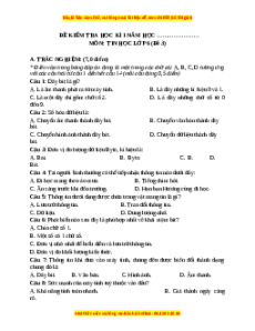 Đề thi cuối kì 1 Tin học 6 Kết nối tri thức - Đề 3