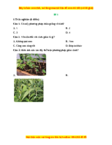 Đề thi cuối kì 1 Công nghệ 7 Kết nối tri thức (Đề 1)