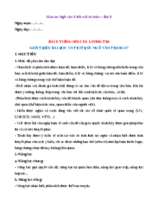 Giáo án Tiếng nói của lương tri (2024) Kết nối tri thức