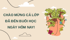 Giáo án Powerpoint Bài 29 Khoa học lớp 5 Chân trời sáng tạo: Tác động của con người đến môi trường