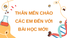 Giáo án Powerpoint Phân giải và tổng hợp các chất trong tế bào Sinh học 10 Kết nối tri thức