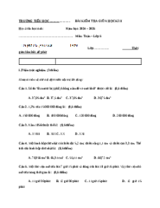 Đề thi Giữa kì 2 Toán lớp 5 Chân trời sáng tạo (Đề 1)