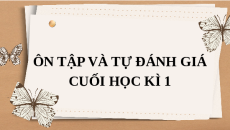 Giáo án Powerpoint Ôn tập và tự đánh giá cuối học kì 1 Ngữ văn 9 Cánh diều