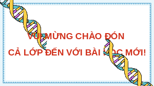 Giáo án Powerpoint Bài 37: Các quy luật di truyền của Mendel KHTN 9 Kết nối tri thức