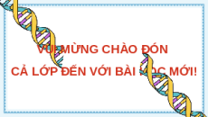 Giáo án Powerpoint Bài 37: Các quy luật di truyền của Mendel KHTN 9 Kết nối tri thức