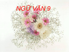 Giáo án Powerpoint Luyện tập sử dụng yếu tố miêu tả trong văn bản thuyết minh Ngữ văn 9