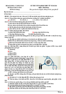 50+ Đề ôn thi Tốt nghiệp THPT Sinh học (có đáp án)
